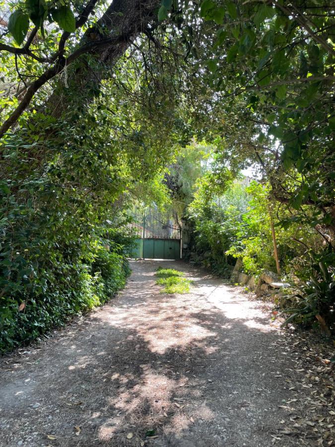 Villa Leona Clim Park Bollène Kültér fotó