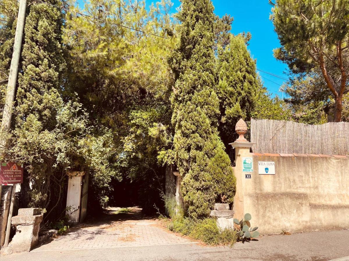 Villa Leona Clim Park Bollène Kültér fotó