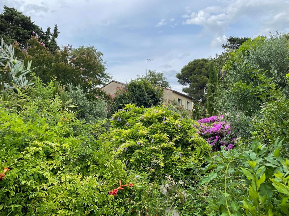 Villa Leona Clim Park Bollène Kültér fotó