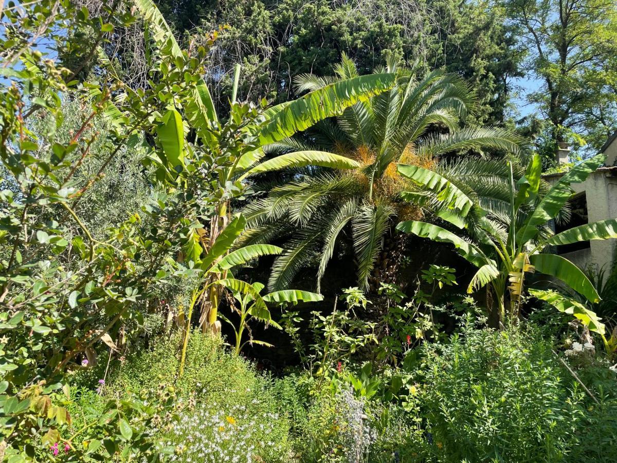 Villa Leona Clim Park Bollène Kültér fotó